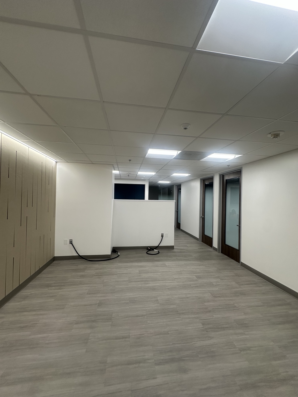 Finished commercial interior with drywall partitions, acoustical ceiling, glazed doors, and wood-look flooring